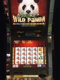 Experience the Thrill of Wild Panda Slot Machine: Spin for Big Wins!