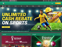 Design Your Winning Sports Betting Website: Custom Features for Optimal User Experience